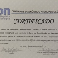 Ampliar imagem: certificate 5