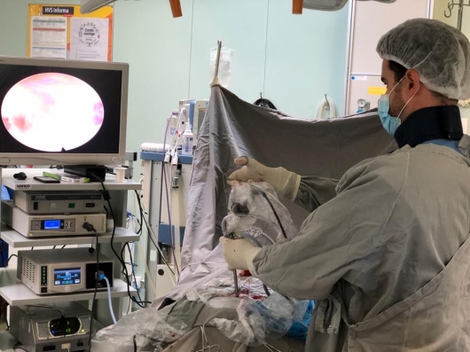 Fernando Magalhães Gosende-2