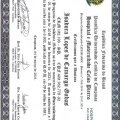 Ampliar imagem: certificate 1