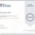 Ampliar imagem: certificate 6