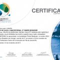 Ampliar imagem: certificate 6