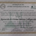 Ampliar imagem: certificate 4