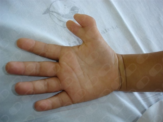 Samir Haikal Junior-26