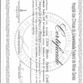 Ampliar imagem: certificate 2