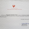 Ampliar imagem: certificate 3