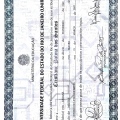 Ampliar imagem: certificate 3