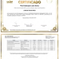 Ampliar imagem: certificate 13