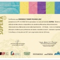 Ampliar imagem: certificate 29