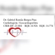 Gabriel Romao Borges Piau