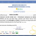 Ampliar imagem: certificate 3