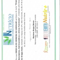 Ampliar imagem: certificate 12