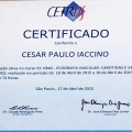 Ampliar imagem: certificate 9
