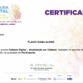 Ampliar imagem: certificate 1