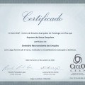 Ampliar imagem: certificate 21