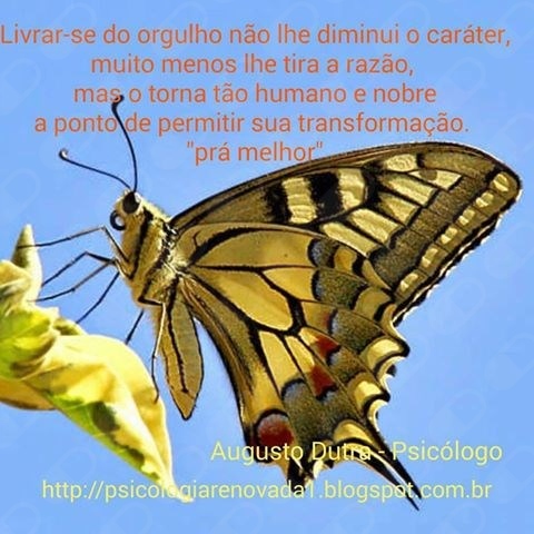 Augusto Amaral Dutra-21