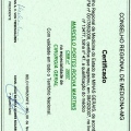 Ampliar imagem: certificate 11