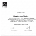 Ampliar imagem: certificate 1