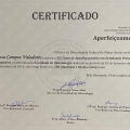 Ampliar imagem: certificate 3