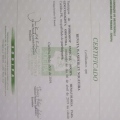 Ampliar imagem: certificate 2