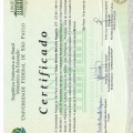 Ampliar imagem: certificate 4