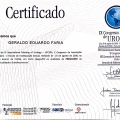 Ampliar imagem: certificate 113