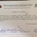 Ampliar imagem: certificate 2