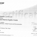 Ampliar imagem: certificate 112