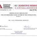 Ampliar imagem: certificate 1