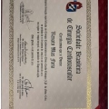 Ampliar imagem: certificate 28