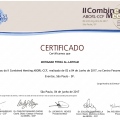 Ampliar imagem: certificate 13