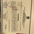 Ampliar imagem: certificate 2