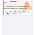 Ampliar imagem: certificate 4