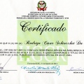 Ampliar imagem: certificate 1