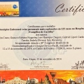 Ampliar imagem: certificate 19