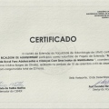 Ampliar imagem: certificate 11