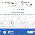 Ampliar imagem: certificate 8