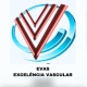 Clínica Evas - Excelência Vascular logo