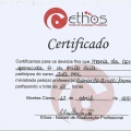 Ampliar imagem: certificate 10