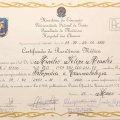 Ampliar imagem: certificate 3