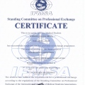Ampliar imagem: certificate 13