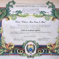 Ampliar imagem: certificate 9