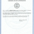 Ampliar imagem: certificate 21