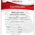 Ampliar imagem: certificate 7