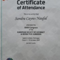 Ampliar imagem: certificate 10
