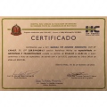 Ampliar imagem: certificate 3