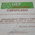 Ampliar imagem: certificate 5