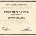 Ampliar imagem: certificate 4