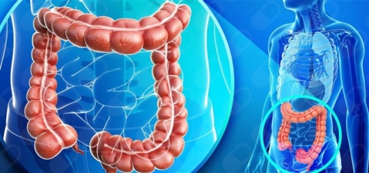 Rodrigo Britto De Carvalho-5