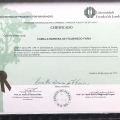 Ampliar imagem: certificate 3