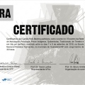 Ampliar imagem: certificate 3